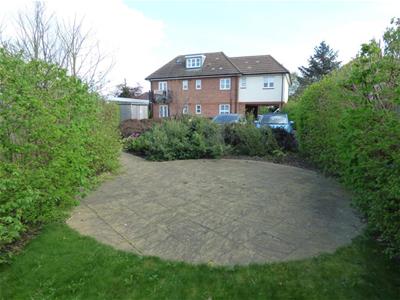 Picture 8